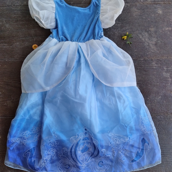 Blue Cinderella Princess Gown - Picture 2 of 3